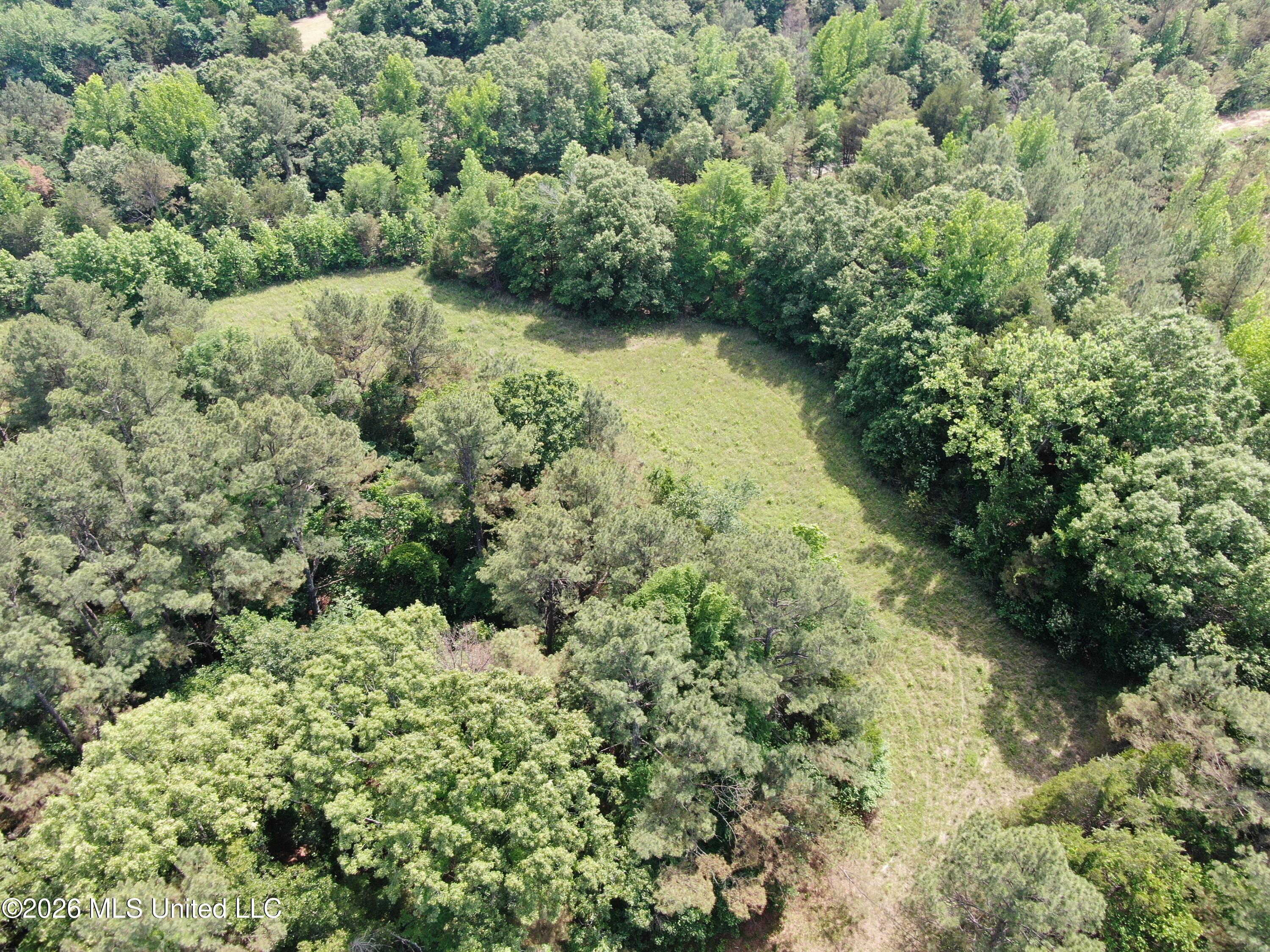 500 Boswell Road Holly Springs, MS 38635 - Photo 7 of 23 DJI_0008