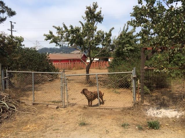 19 Live Oak Road Watsonville, CA 95076 - Photo 7 of 7 Gallery Image 7