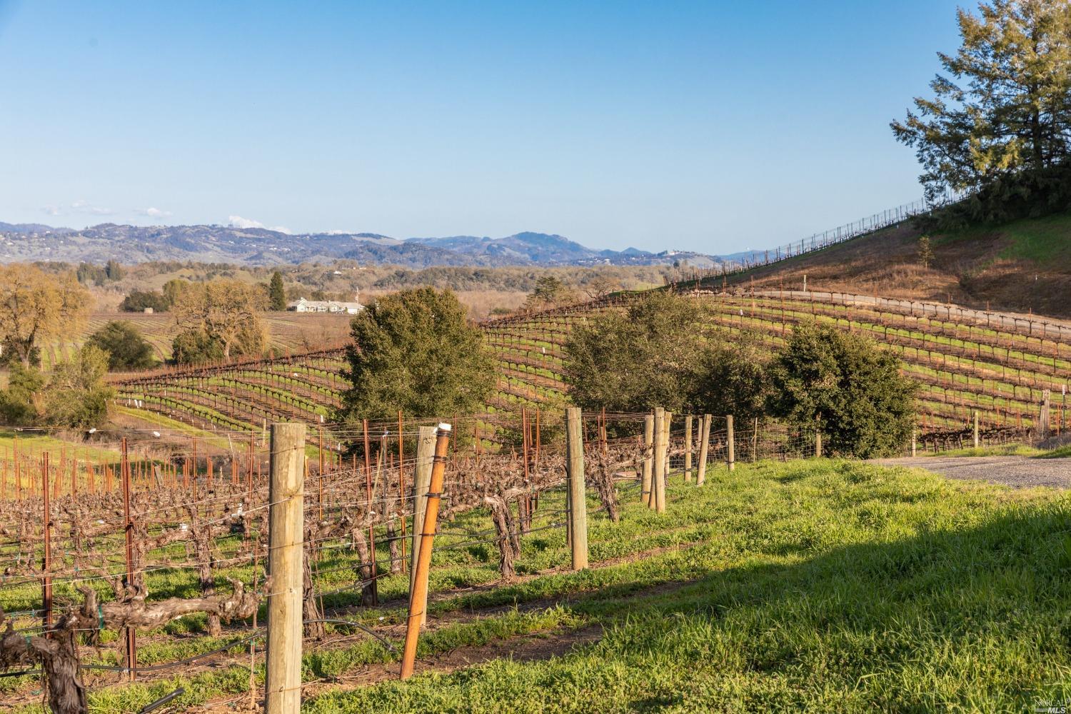 5285 Westside Road Healdsburg, CA 95448 - Photo 48 of 58