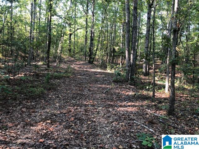 900 Holloway Road, Unit 58 AC Camp Hill, AL 36850 - Photo 1 of 6