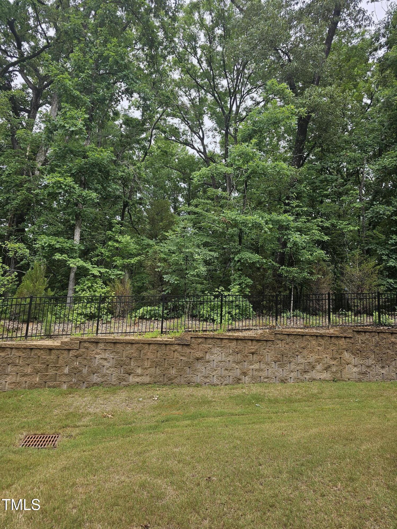 2008 Van Hook Lane Apex, NC 27502 - Photo 28 of 34 Private wooded buffer
