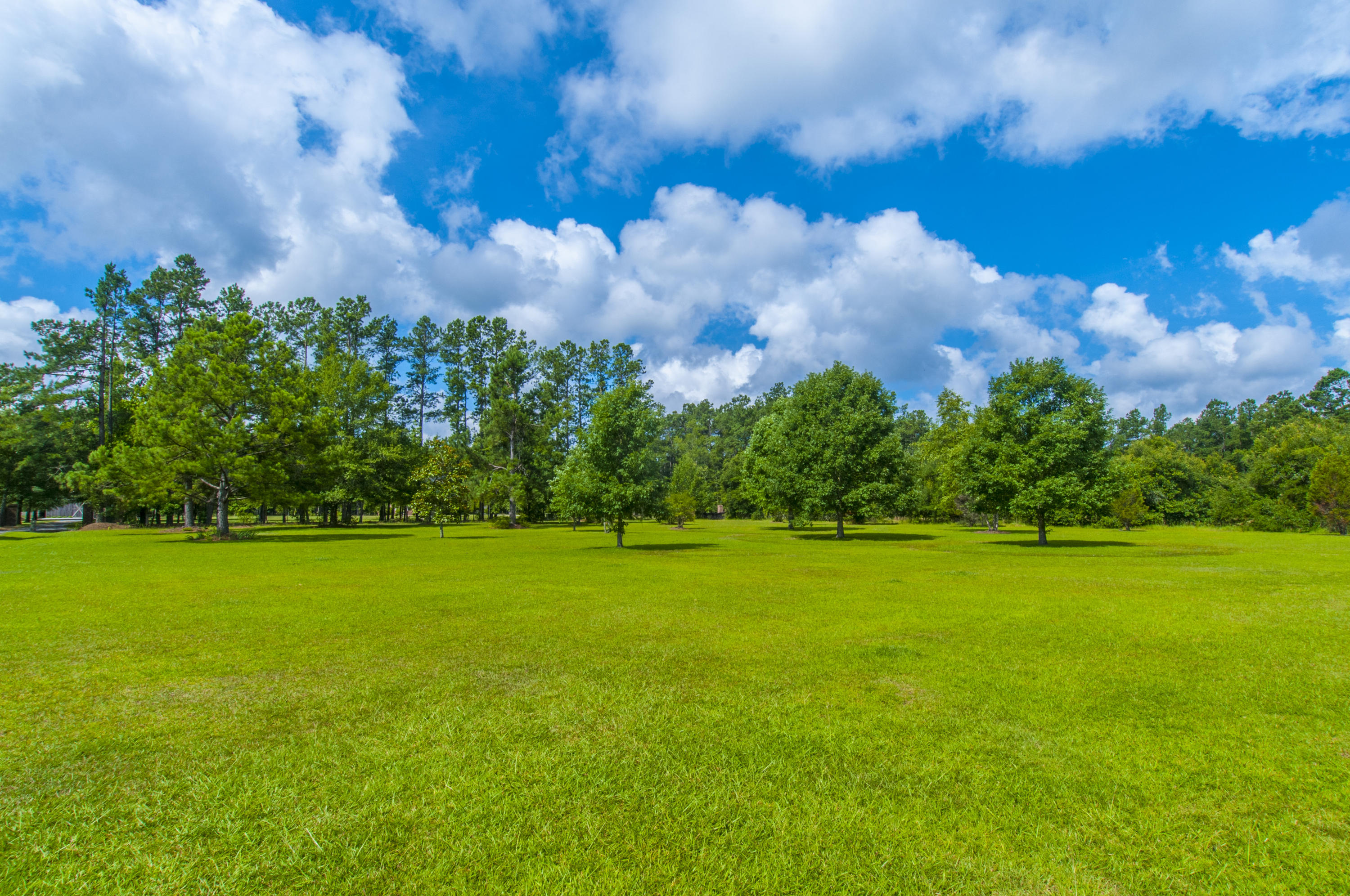 1226 Spring Grove Road Bonneau, SC 29431 - Photo 53 of 59 _DSC5725