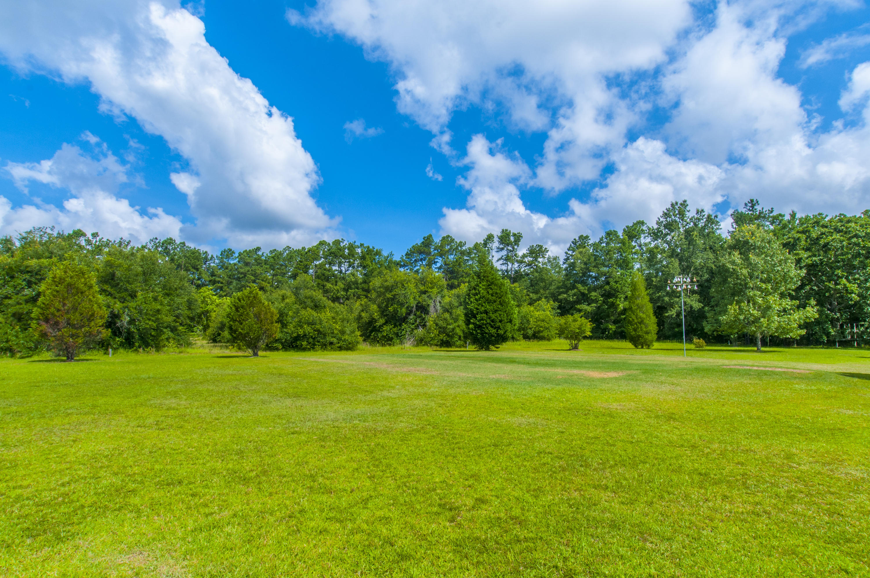 1226 Spring Grove Road Bonneau, SC 29431 - Photo 54 of 59 _DSC5728