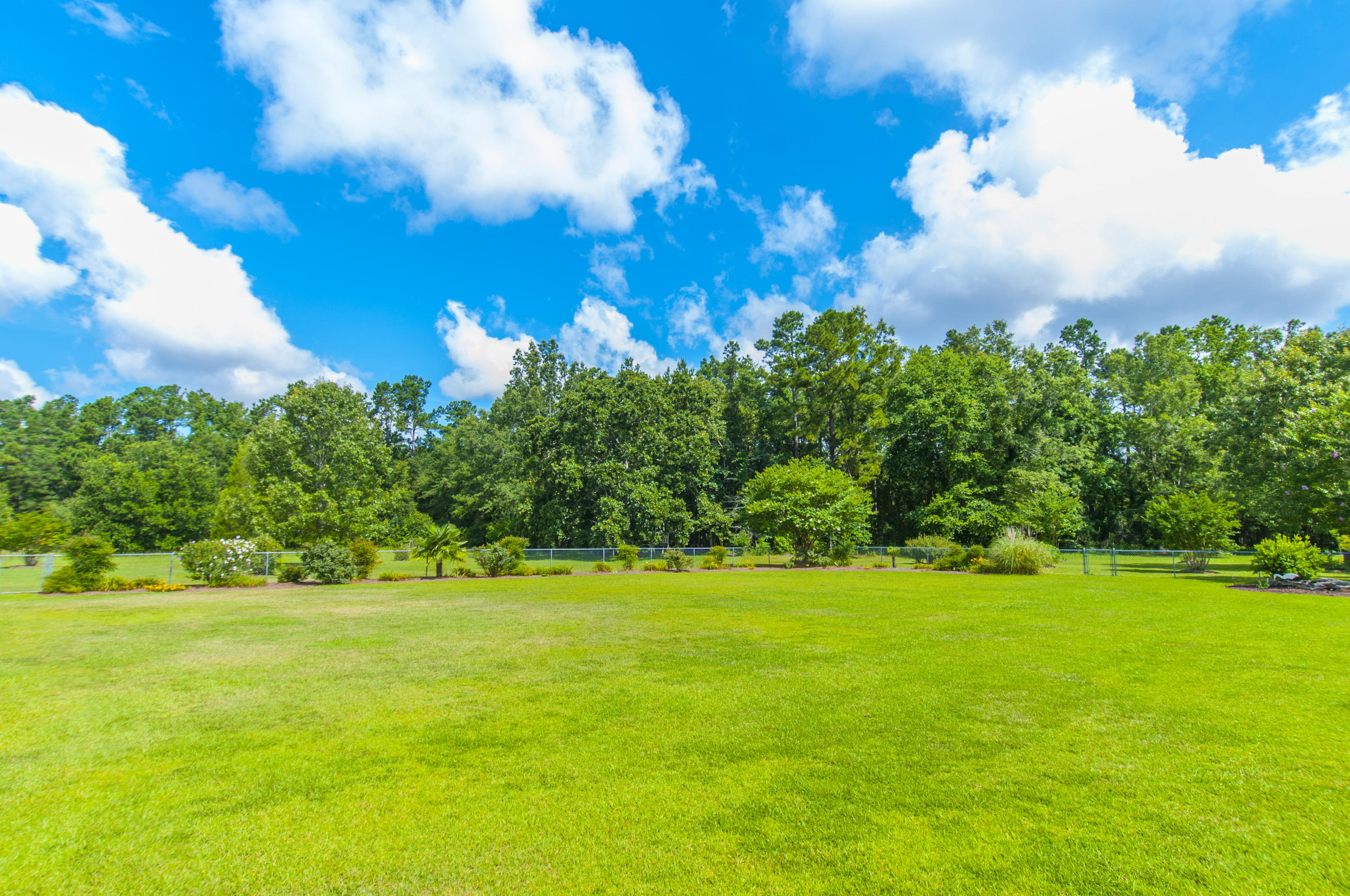 1226 Spring Grove Road Bonneau, SC 29431 - Photo 56 of 59 _DSC5741