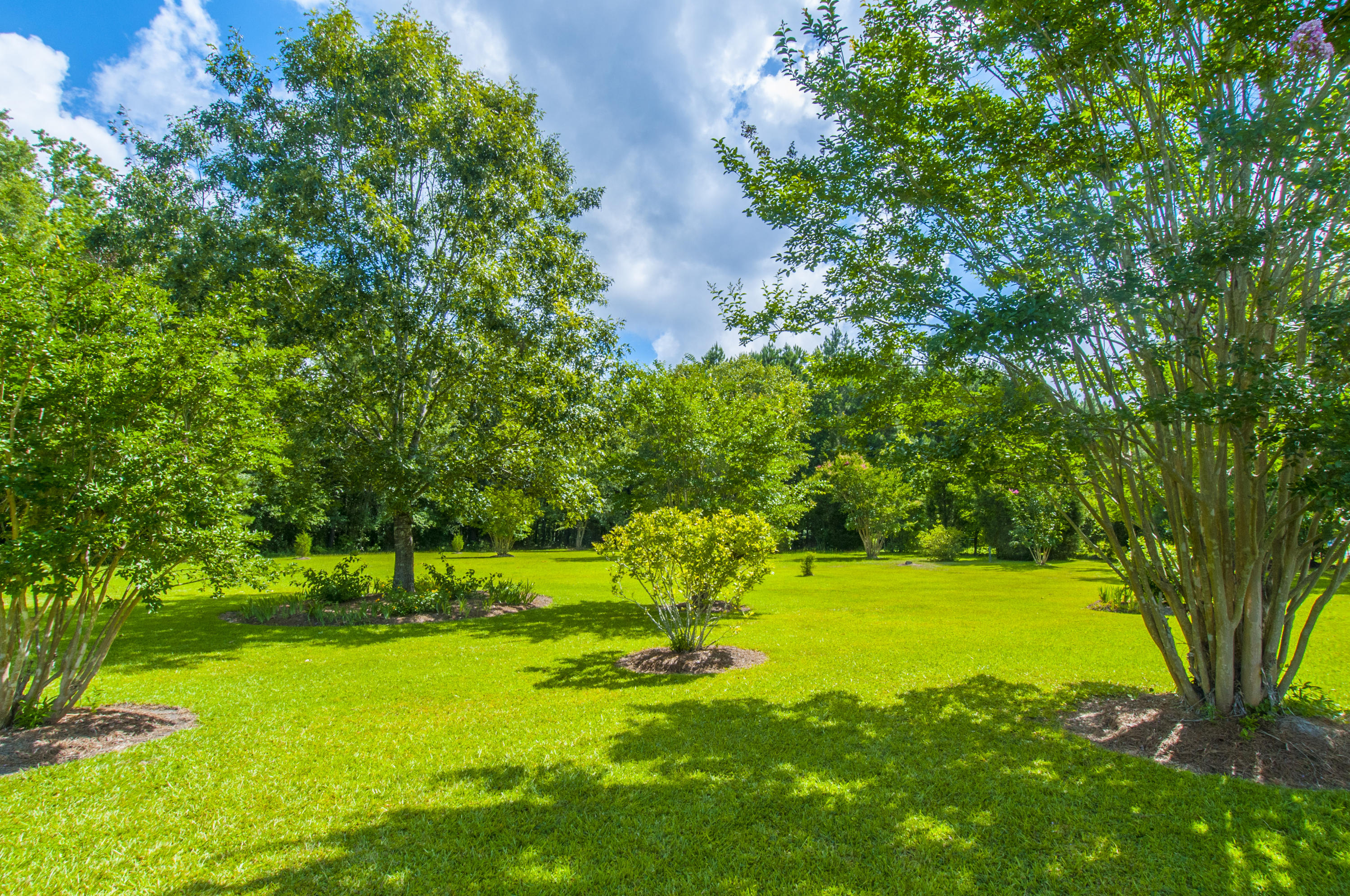 1226 Spring Grove Road Bonneau, SC 29431 - Photo 58 of 59 _DSC5745