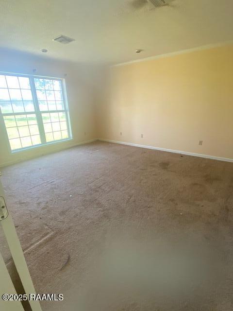 16224 St Elmo Road Erath, LA 70533 - Photo 12 of 18 IMG_5528