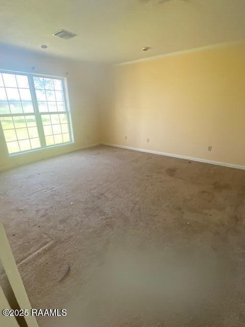 16224 St Elmo Road Erath, LA 70533 - Photo 13 of 18 IMG_5529