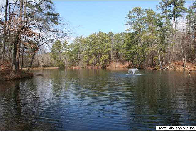 777 Carl Raines Lake Road Birmingham, AL 35244 - Photo 1 of 32