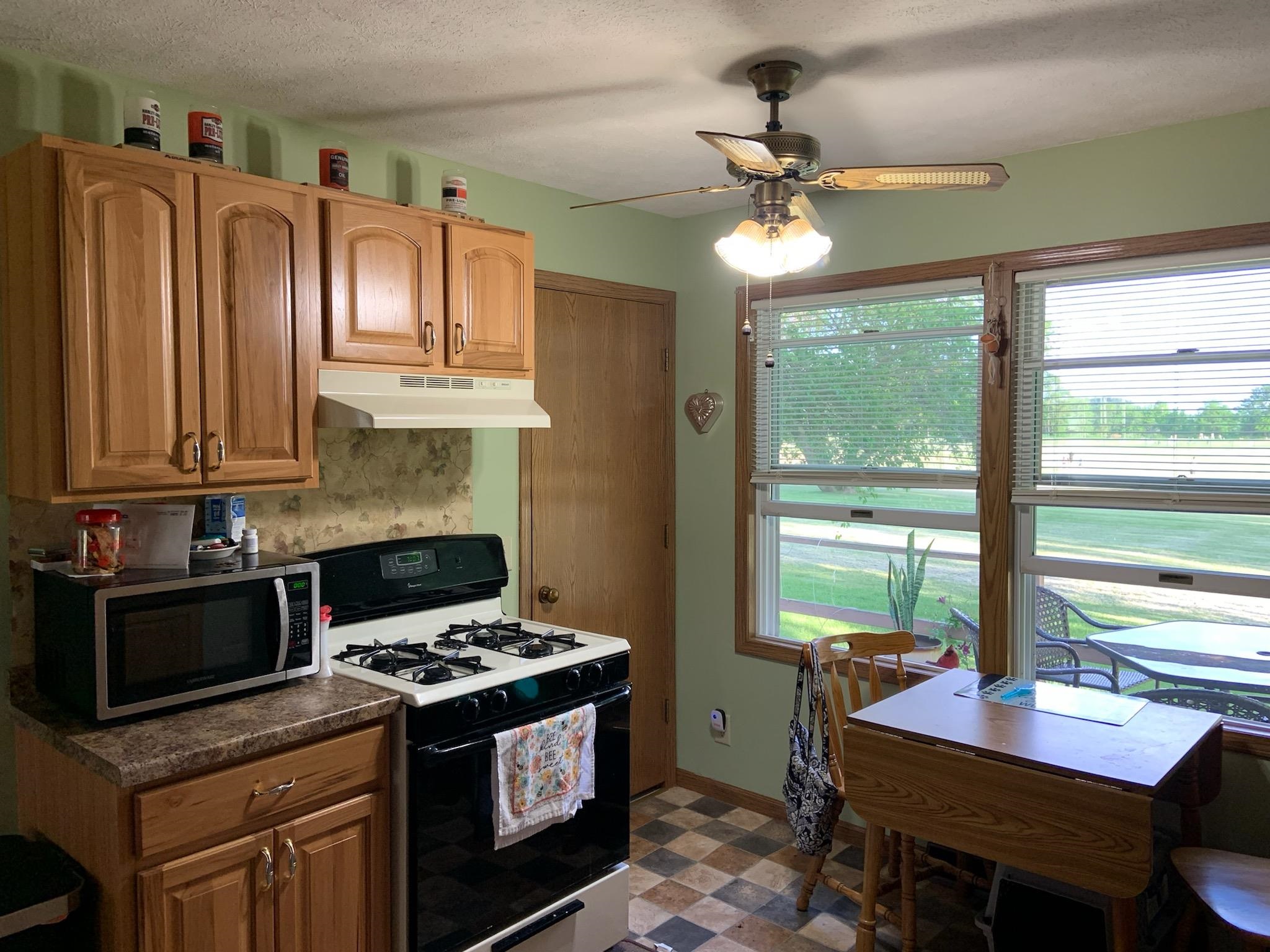 207 West Brayton Road Mount Morris, IL 61054 - Photo 6 of 12 Gallery Image 6