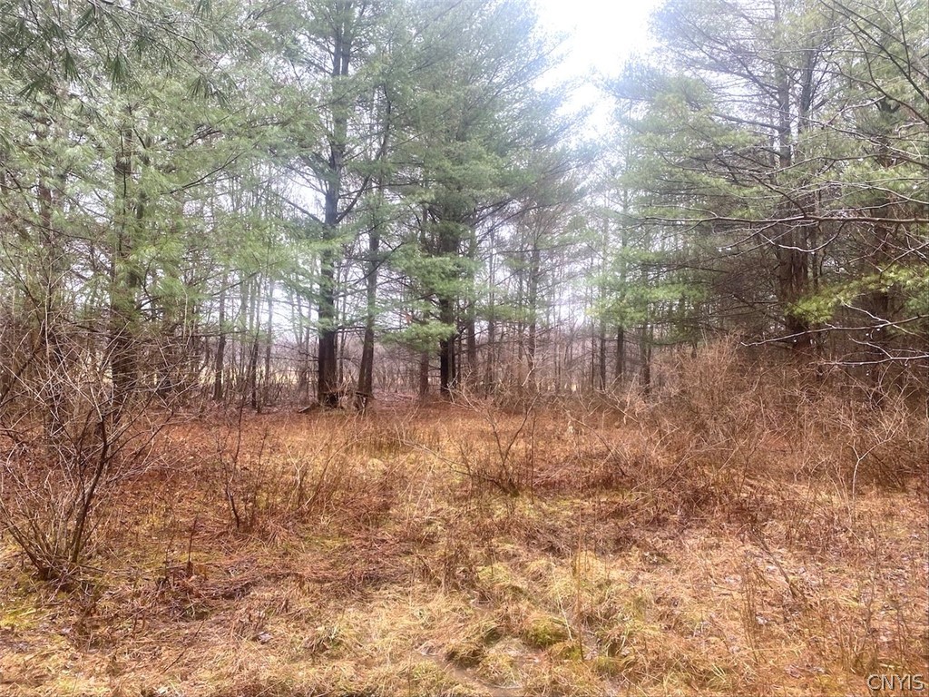 10138 Schuknecht Road Fillmore, NY 14735 - Photo 1 of 10