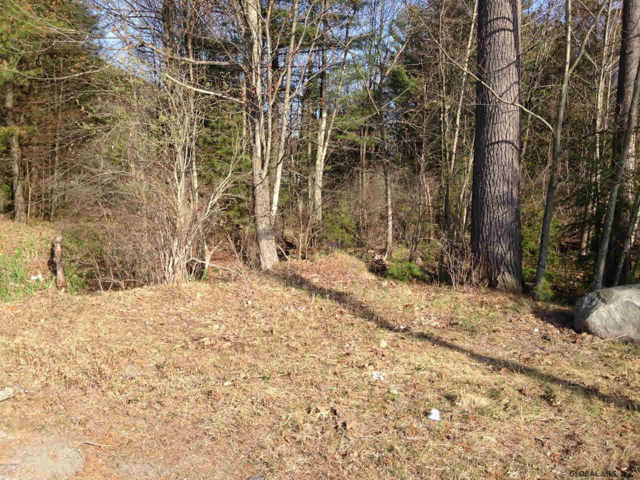0 Hall Mountain Road Athol, NY 12810 - Photo 11 of 12 Photo 11