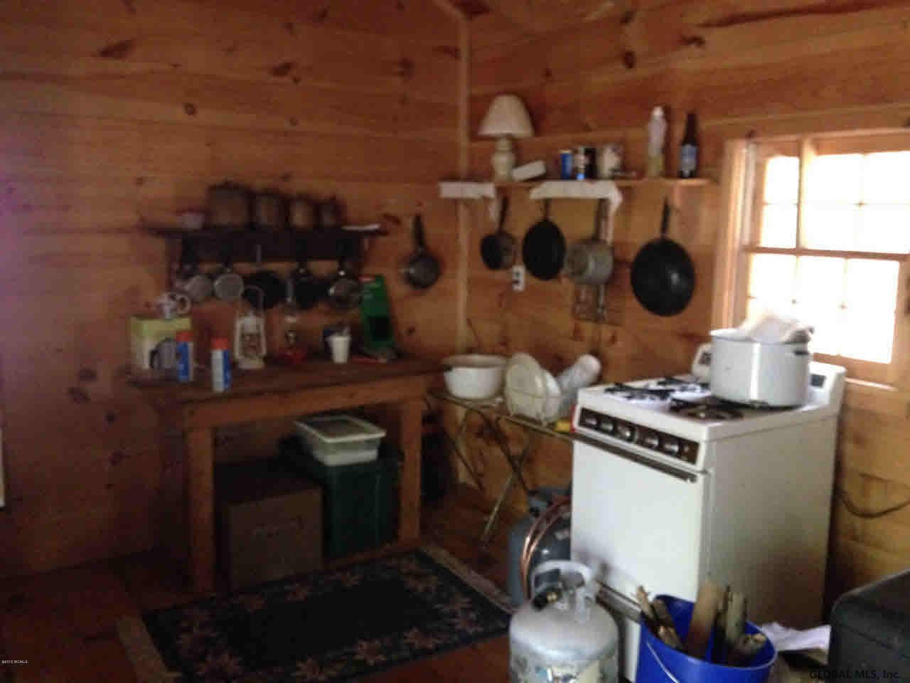 0 Hall Mountain Road Athol, NY 12810 - Photo 3 of 12 Photo 3