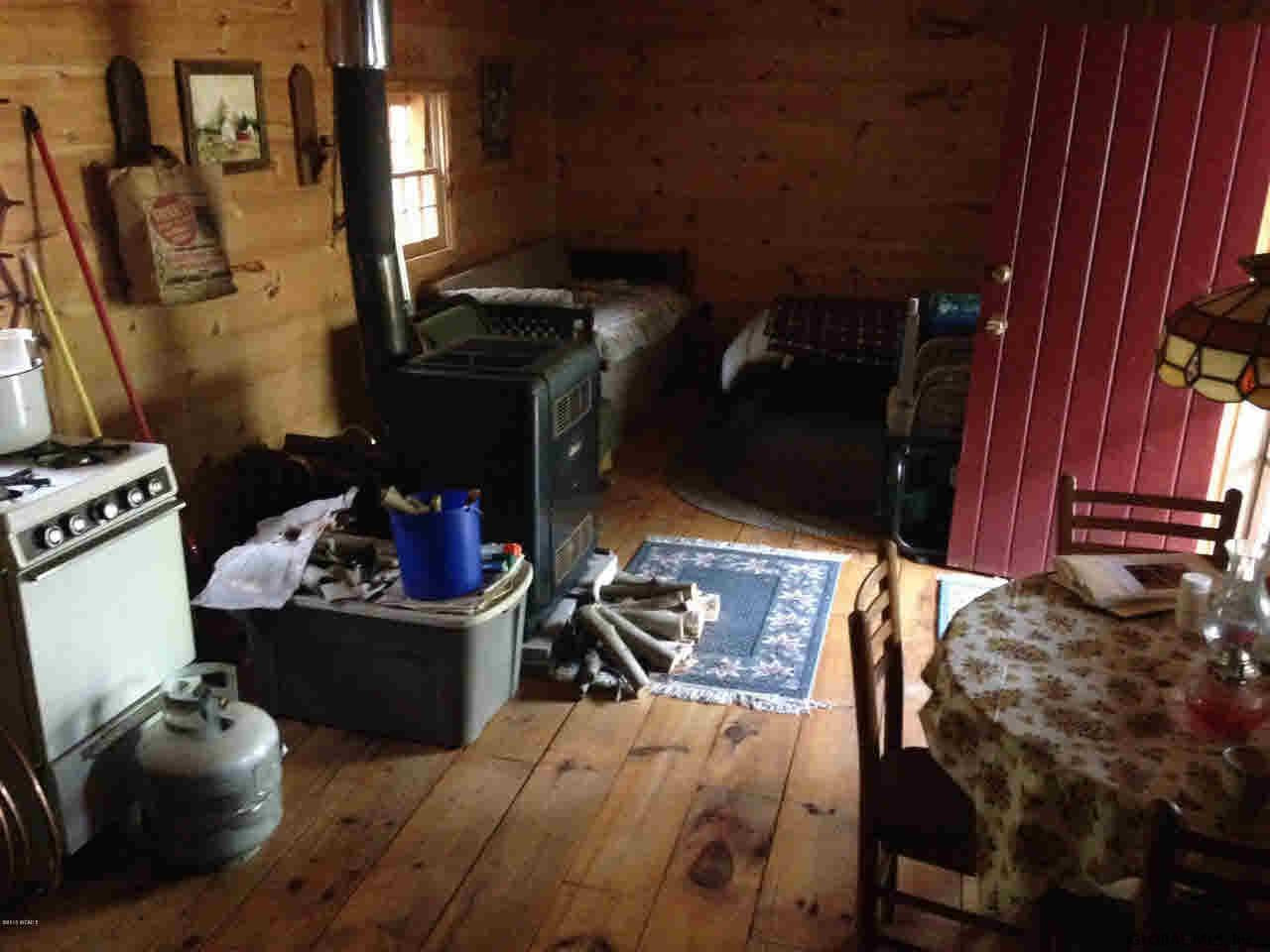 0 Hall Mountain Road Athol, NY 12810 - Photo 7 of 12 Photo 7
