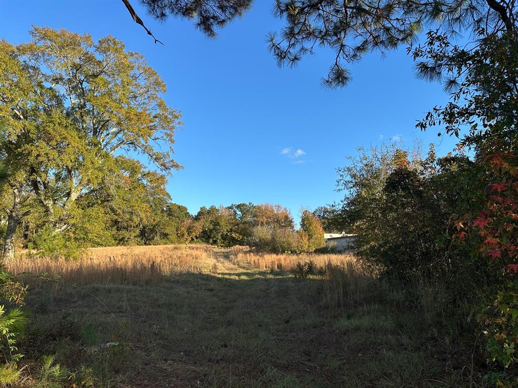 0 Hazel Street Arcadia, LA 71001 - Photo 12 of 17 a view of a yard with a tree