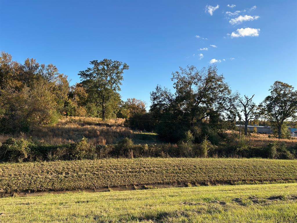 0 Hazel Street Arcadia, LA 71001 - Photo 13 of 17 a view of outdoor space and yard