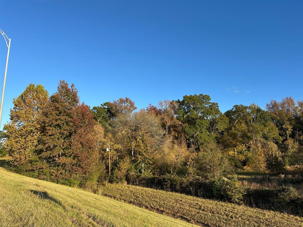 0 Hazel Street Arcadia, LA 71001 - Photo 14 of 17 a view of a yard