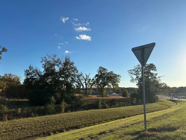 a green field with trees in the background