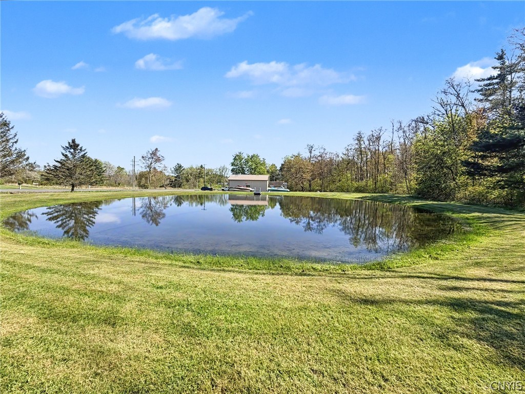2254 Hanshaw Road Dryden, NY 13068 - Photo 4 of 47 Stocked Pond