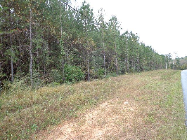 3 Chumuckla Springs Road Jay, FL 32565 - Photo 3 of 8 Gallery Image 3