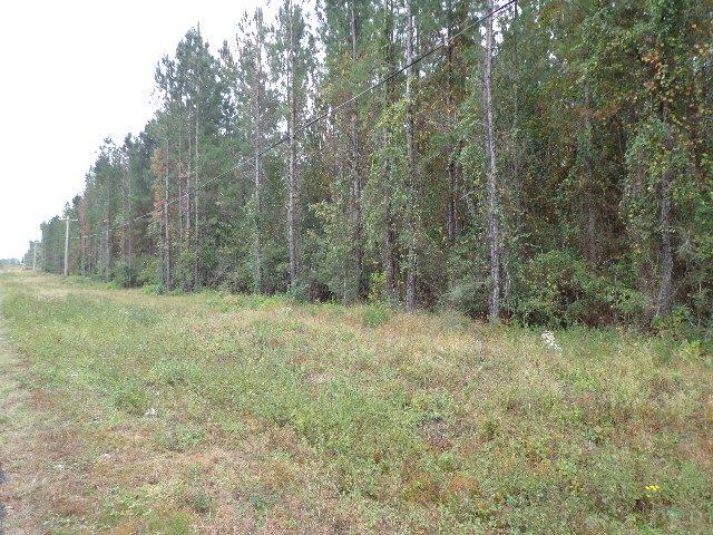 3 Chumuckla Springs Road Jay, FL 32565 - Photo 4 of 8 Gallery Image 4