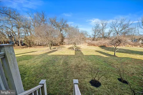 a view of a yard with an trees