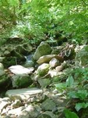 256 S Road Hampden, MA 01036 - Photo 9 of 27