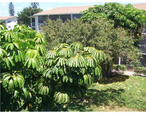 167 Dorset D, Unit 167 Boca Raton, FL 33434 - Photo 12 of 14 Additional Photo