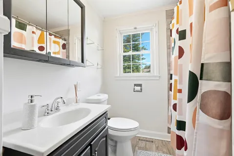 a bathroom with a sink a toilet and a mirror