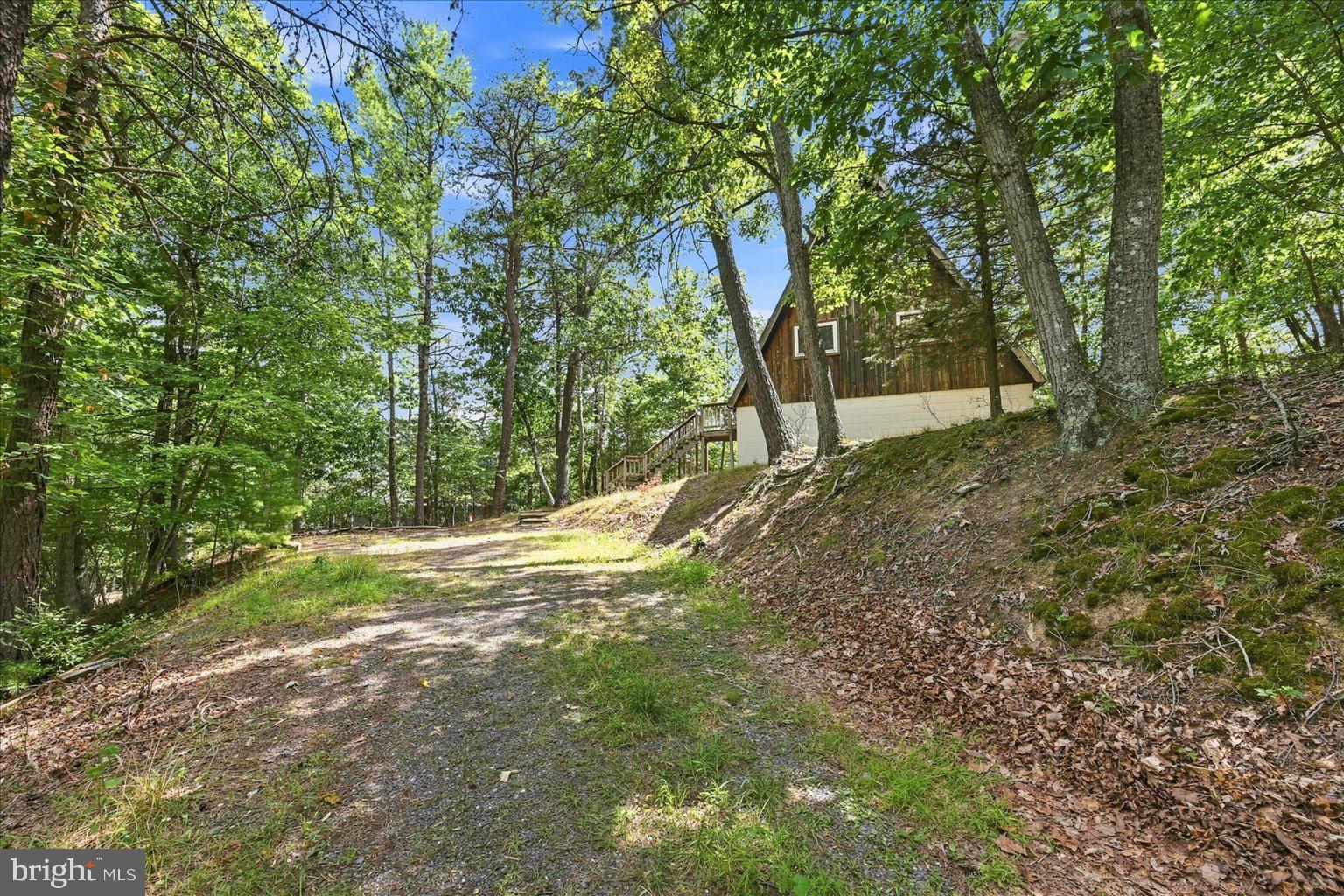 863 Lee Road Basye, VA 22810 - Photo 2 of 61