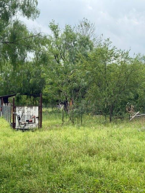 0 Fm 1015 La Edcouch, TX 78538 - Photo 6 of 10