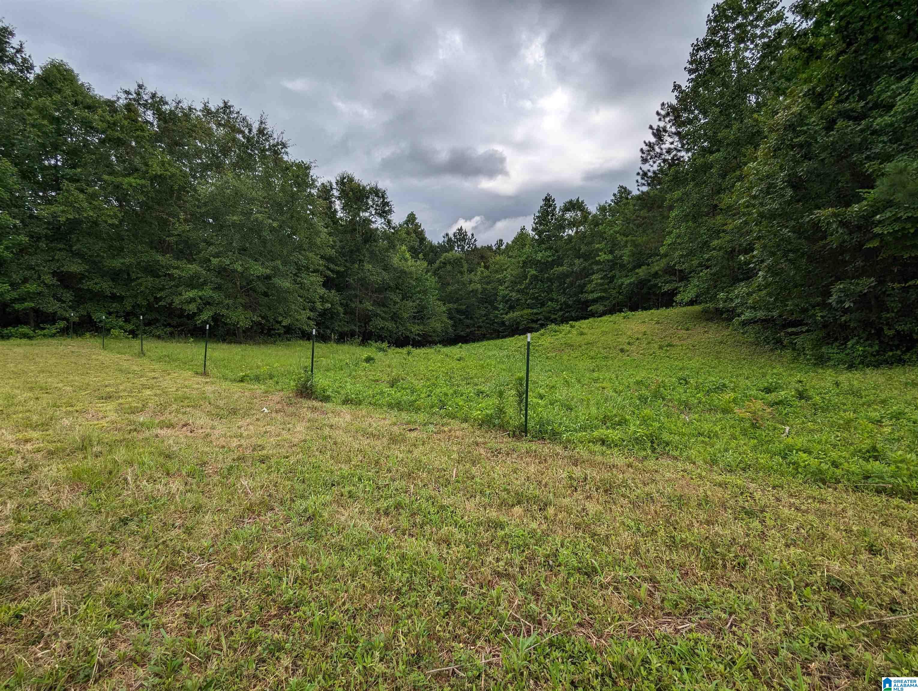 239 County Road 835 Clanton, AL 35046 - Photo 47 of 55