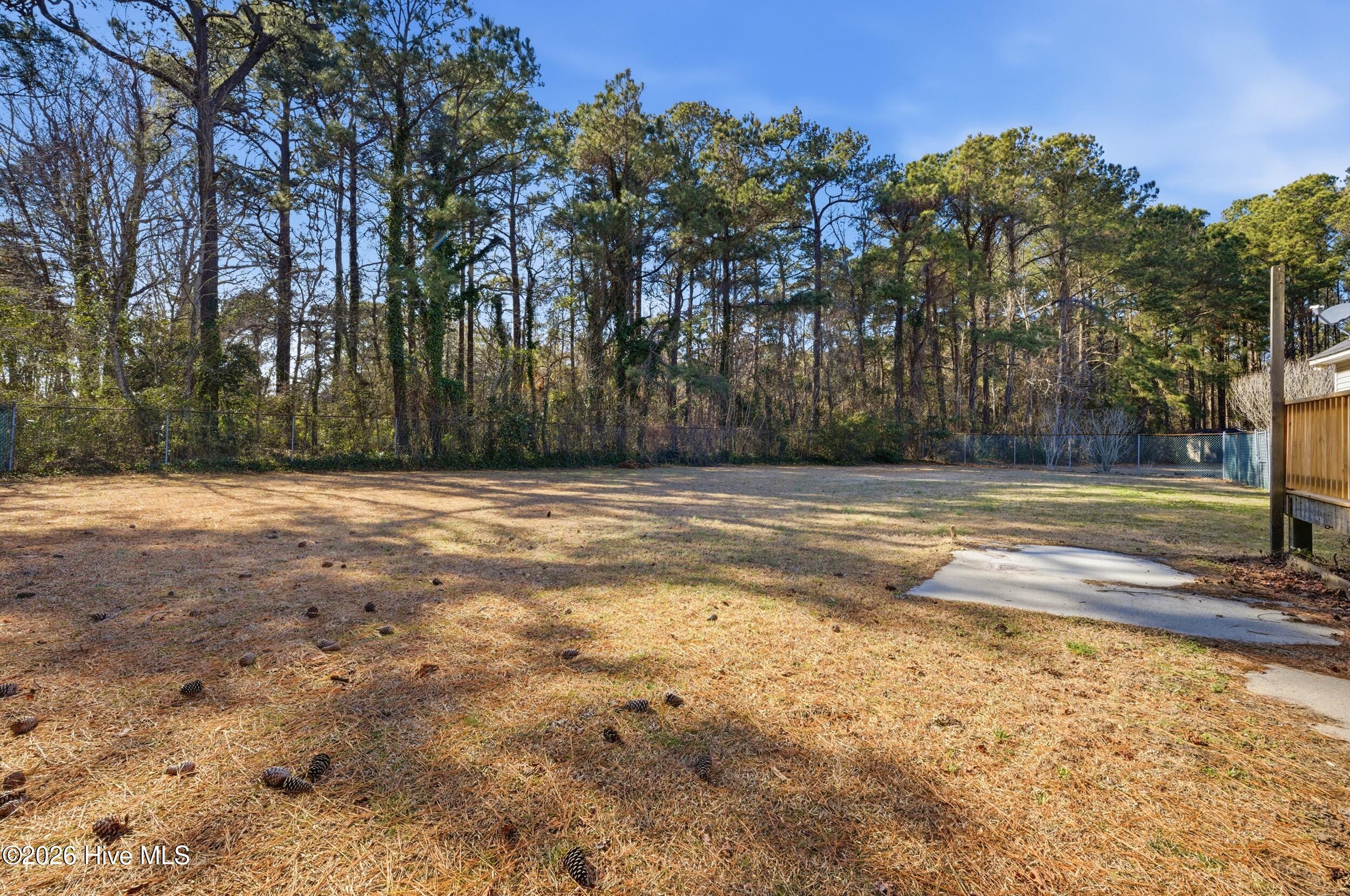115 Sunny Lane Grandy, NC 27939 - Photo 38 of 46 39_dsc07262