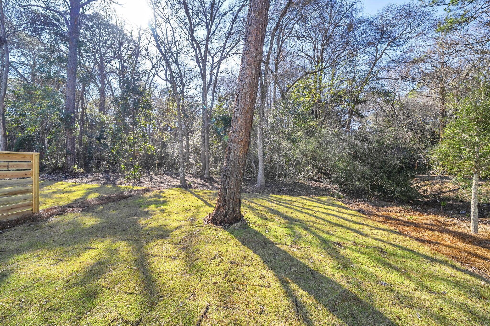 129 Osprey Lane Santa Rosa Beach, FL 32459 - Photo 21 of 31 fenced backyard