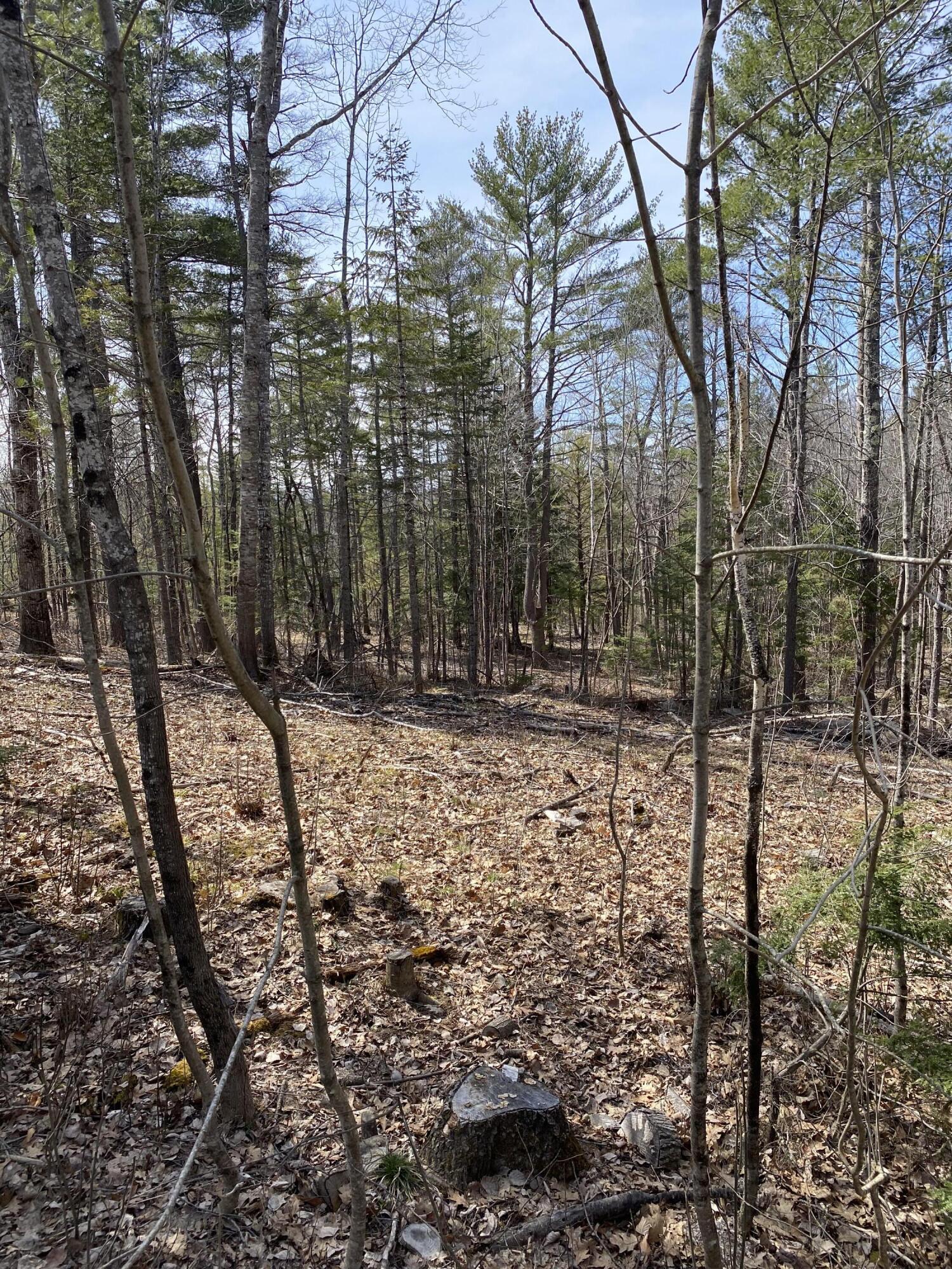 294 Gore Road Palermo, ME 04354 - Photo 17 of 17 IMG_3486