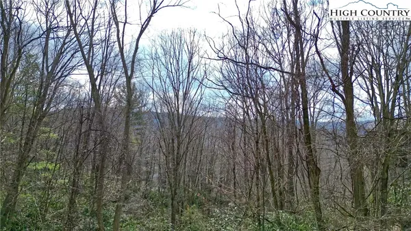 $15,000 | 148 Rhododendron Drive, Beech Mountain, NC 28604