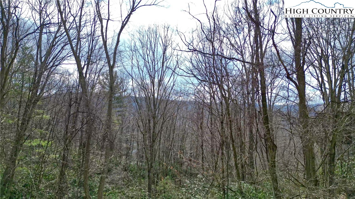 148 Rhododendron Drive Beech Mountain, NC 28604 - Photo 12 of 15