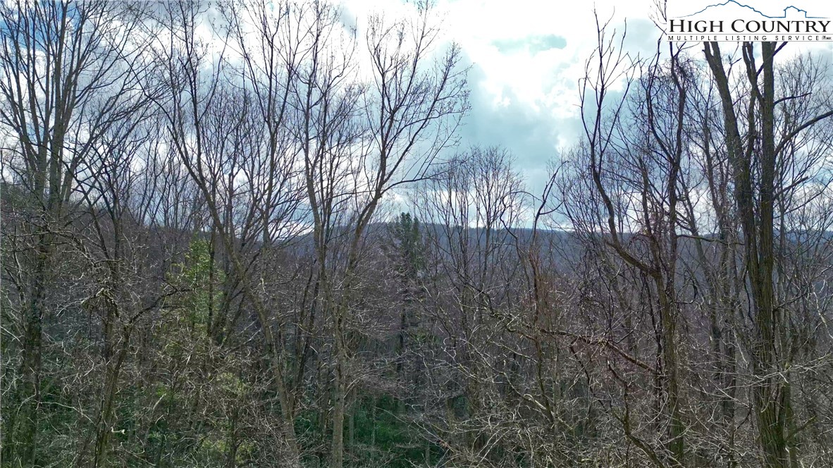 148 Rhododendron Drive Beech Mountain, NC 28604 - Photo 13 of 15