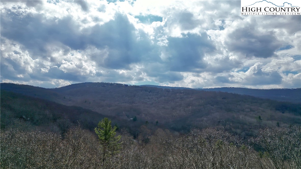 148 Rhododendron Drive Beech Mountain, NC 28604 - Photo 14 of 15