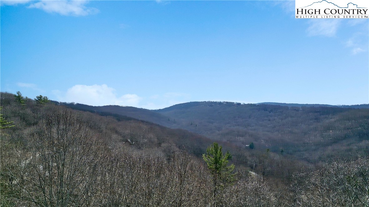 148 Rhododendron Drive Beech Mountain, NC 28604 - Photo 15 of 15