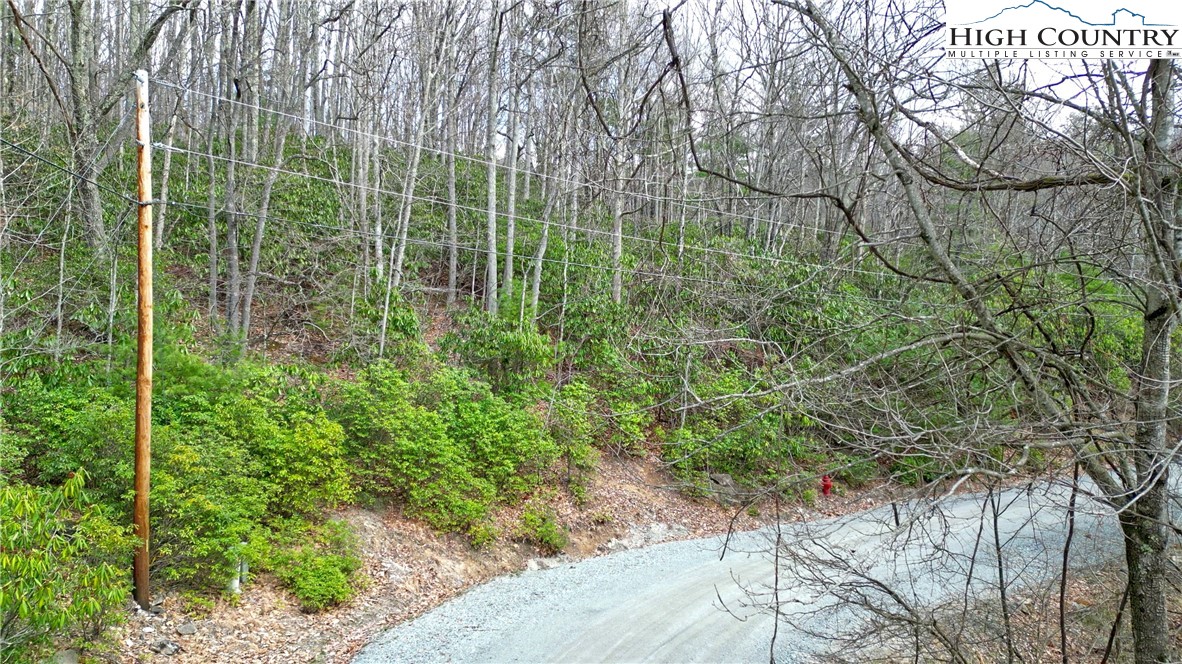 148 Rhododendron Drive Beech Mountain, NC 28604 - Photo 2 of 15