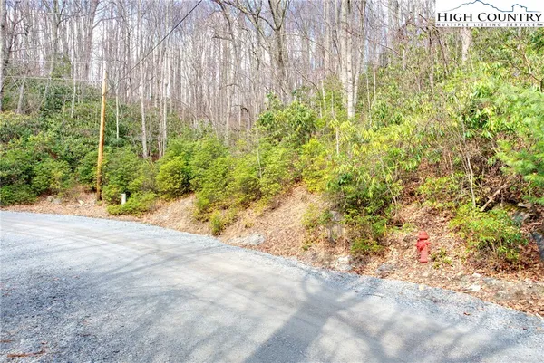 $15,000 | 148 Rhododendron Drive, Beech Mountain, NC 28604