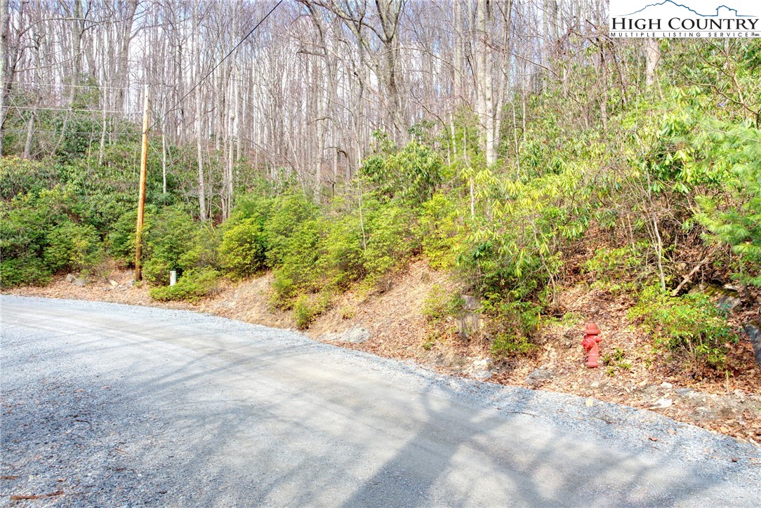 148 Rhododendron Drive Beech Mountain, NC 28604 - Photo 4 of 15