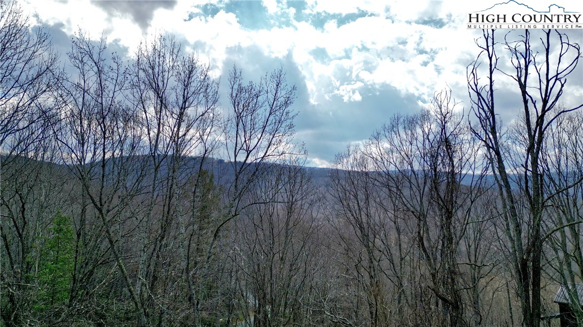 148 Rhododendron Drive Beech Mountain, NC 28604 - Photo 5 of 15