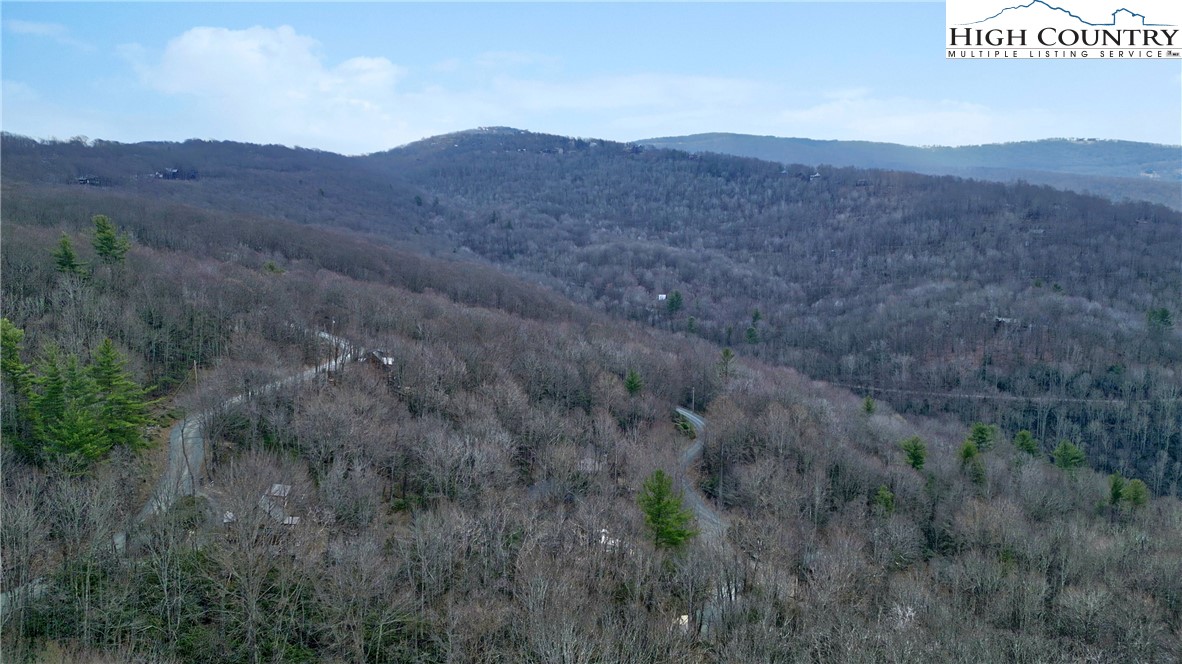 148 Rhododendron Drive Beech Mountain, NC 28604 - Photo 6 of 15