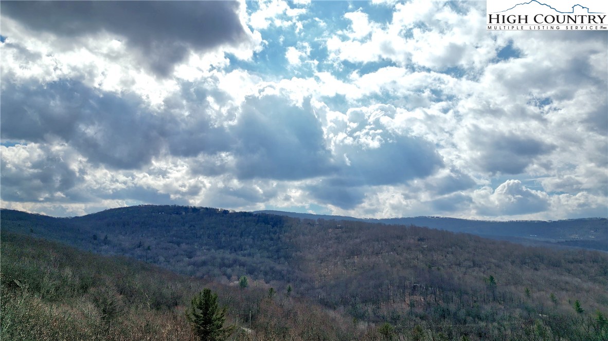 148 Rhododendron Drive Beech Mountain, NC 28604 - Photo 8 of 15