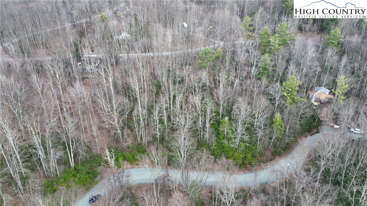 148 Rhododendron Drive Beech Mountain, NC 28604 - Photo 9 of 15