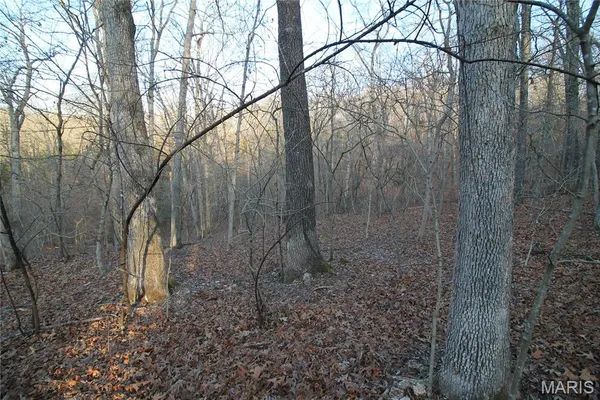 $29,500 | 0 Glory Trail, De Soto, MO 63020