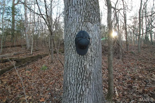 $29,500 | 0 Glory Trail, De Soto, MO 63020