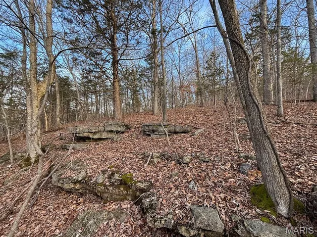 $29,500 | 0 Glory Trail, De Soto, MO 63020