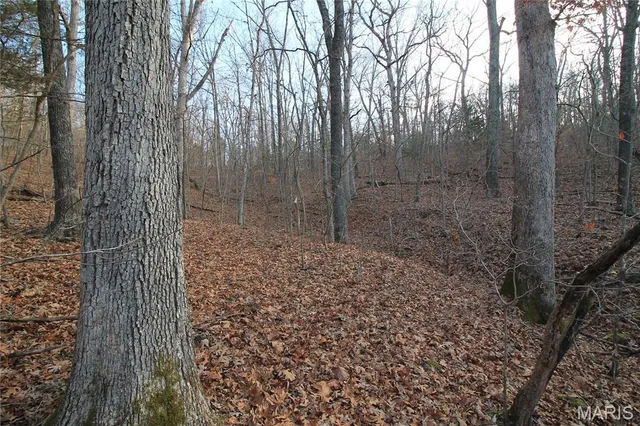 $29,500 | 0 Glory Trail, De Soto, MO 63020